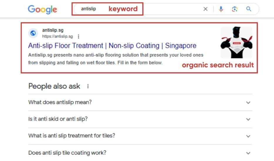 organic search result